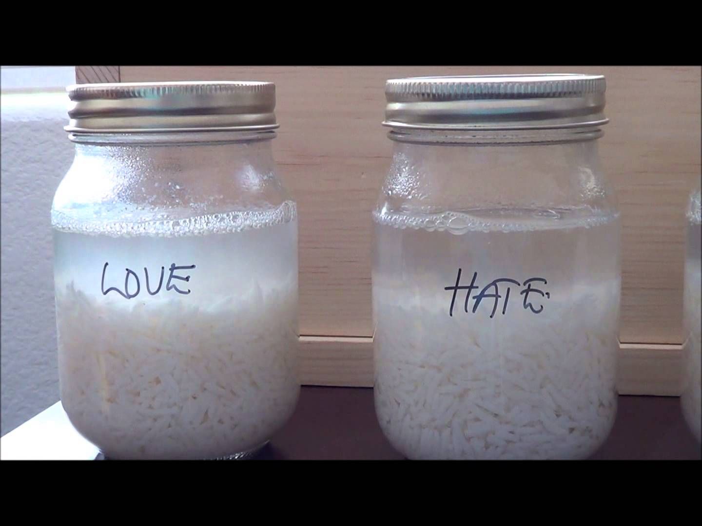 Das Reis-Experiment Spielt unsere Absicht eine Rolle? 